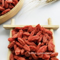 Factory Supply Natural Dried Wolfberries